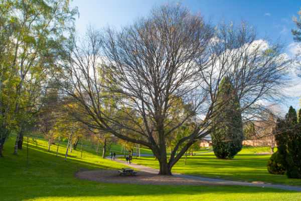 Royal Botanic Gardens Hobart on a sunny day